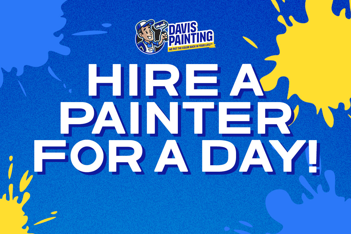 Painter For A Day